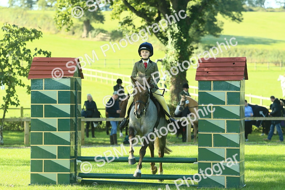 SBM_36449 - S29 - Novice & Newcomers Working Hunter Pony