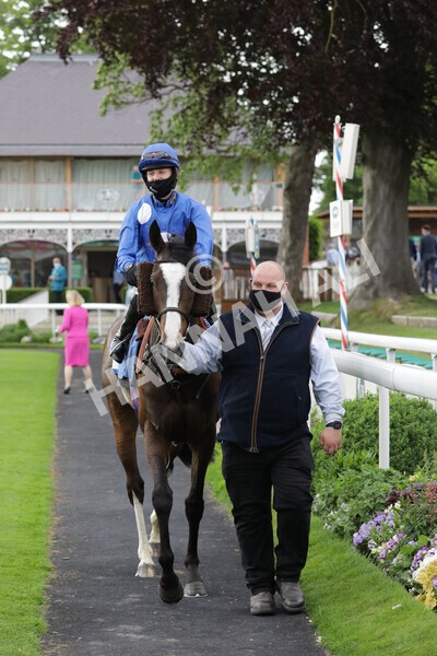 yr11062021r7-24 - Race 7 5.05pm SASH Charity Stakes