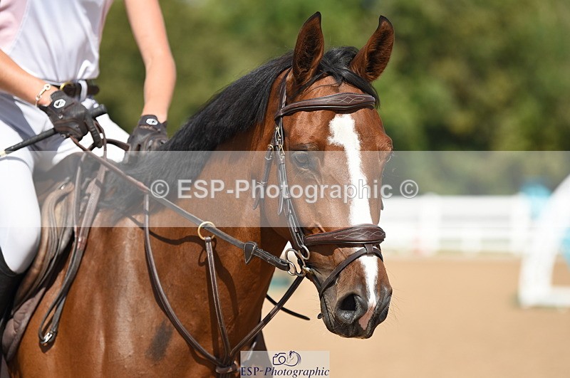 230906A-131030-00442 - Newcomers & 1.10m Open