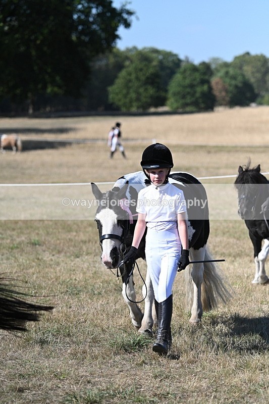 WJ7_2004 - Class 43 Best Six Legs (In hand)