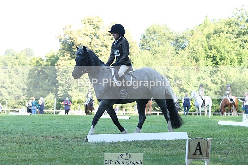 250823A-085102-25790 - Arena D