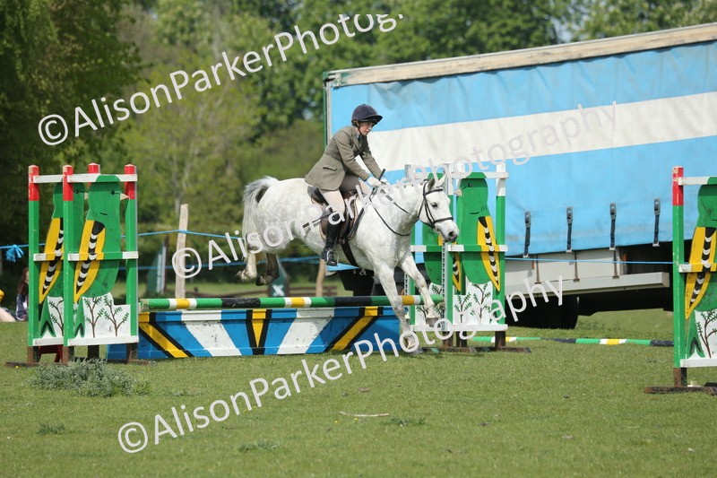 20260426-1790 - Class 14 - Novice 60cm