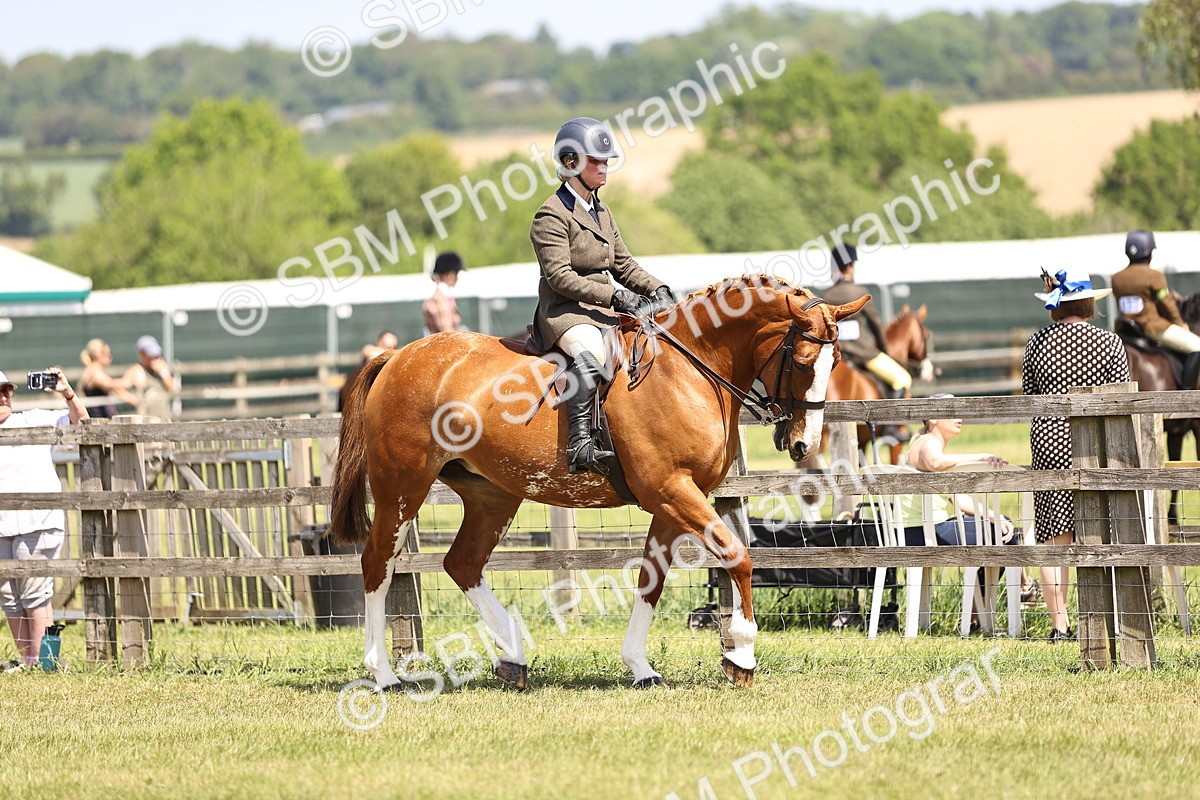 SBM_15039 - Class 79-80 - LIHS BSHA Rising Star Ridden Hunter
