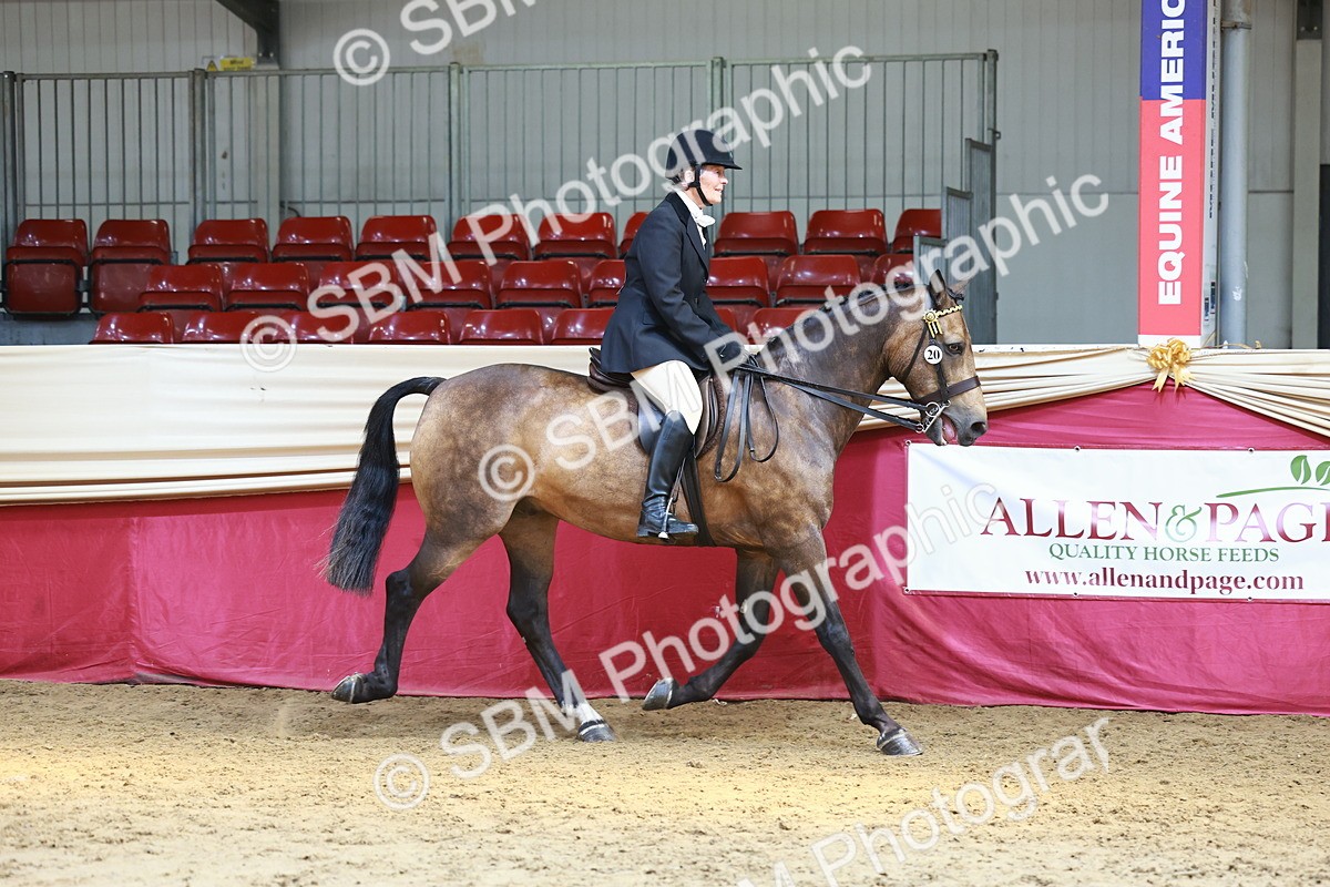 SBM_23895 - Class 905 - Supreme Final - Ridden Veteran
