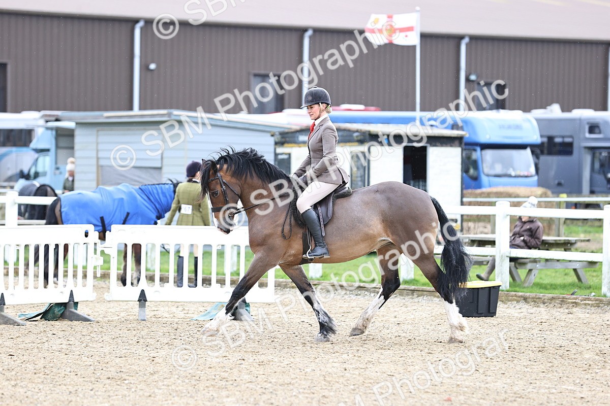 SBM_006960 - Class 29 - 30 - M&M Pure Novice Small-Large Breeds