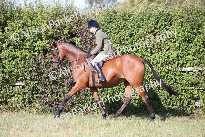 20260906-0392 - Class 14 - Ex Racehorse