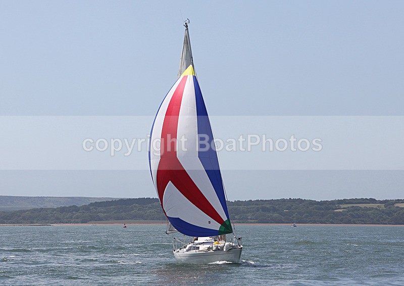 090614 SIGMADON IMG_1304 - SIGMADON