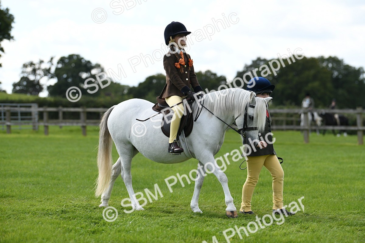 SBM_46701 - S12 - Family Horse & Pony