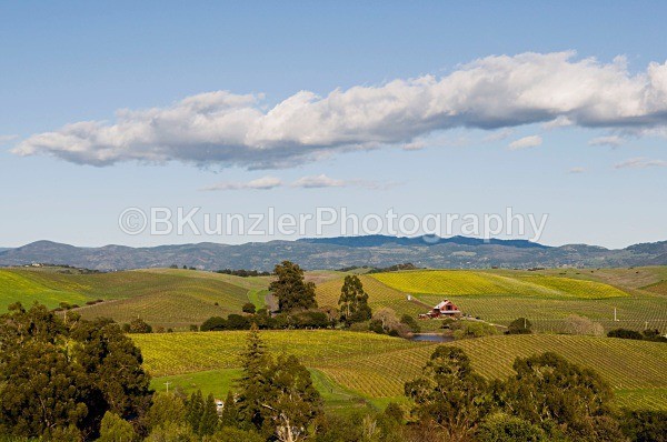 _DSC0036 - Ross/Lynn