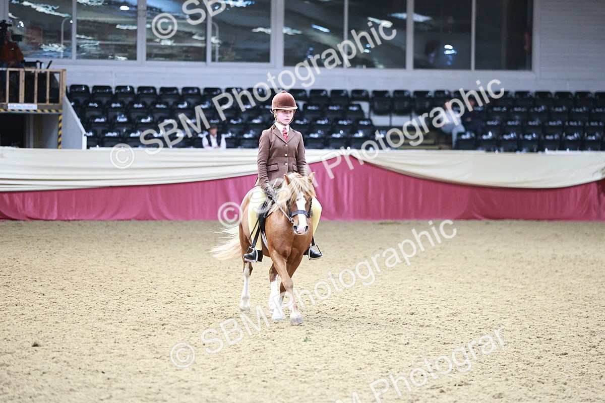 SBM_03571 - Class 6A Area Ridden Pre-Vet