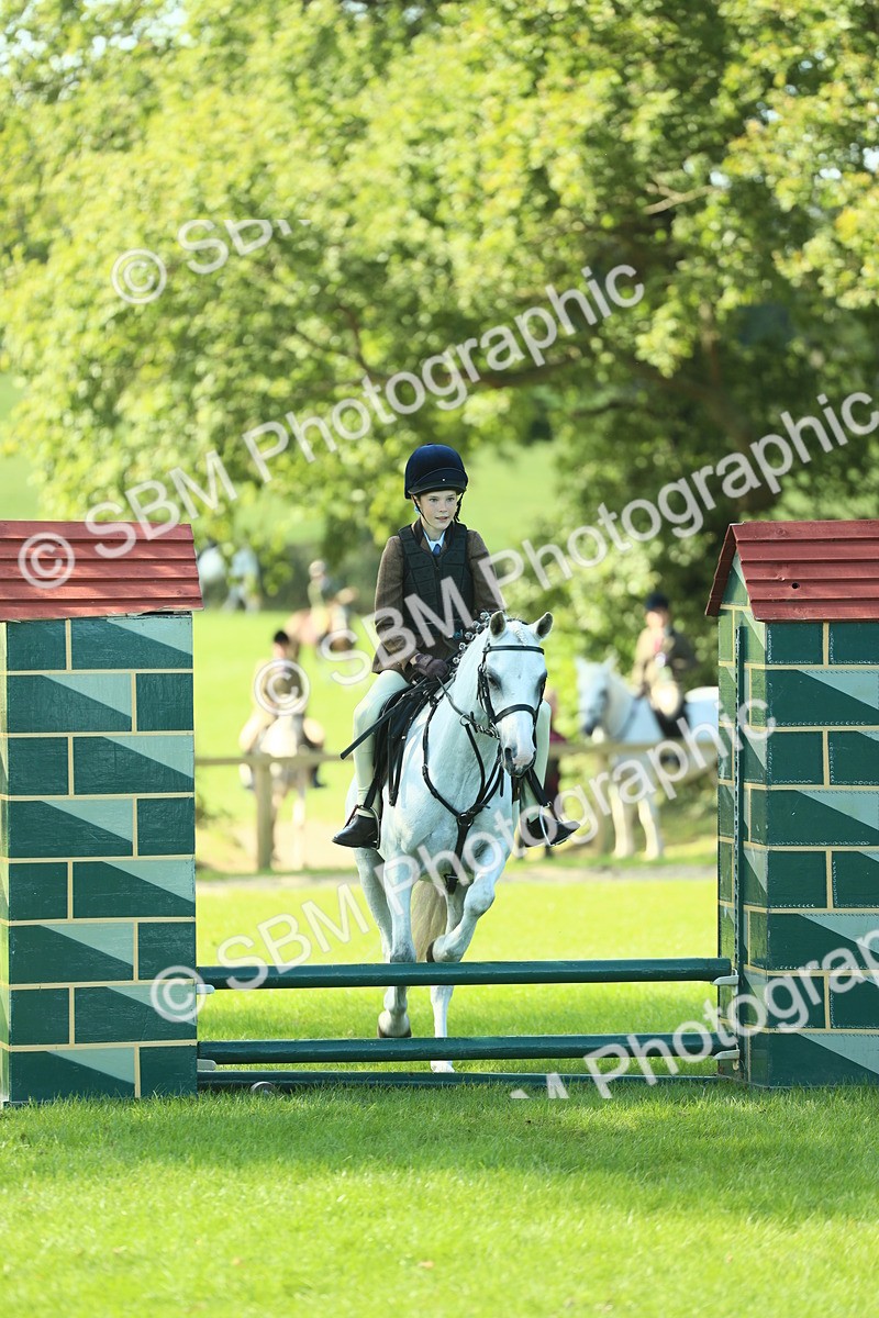 SBM_39209 - S29 - Novice & Newcomers Working Hunter Pony