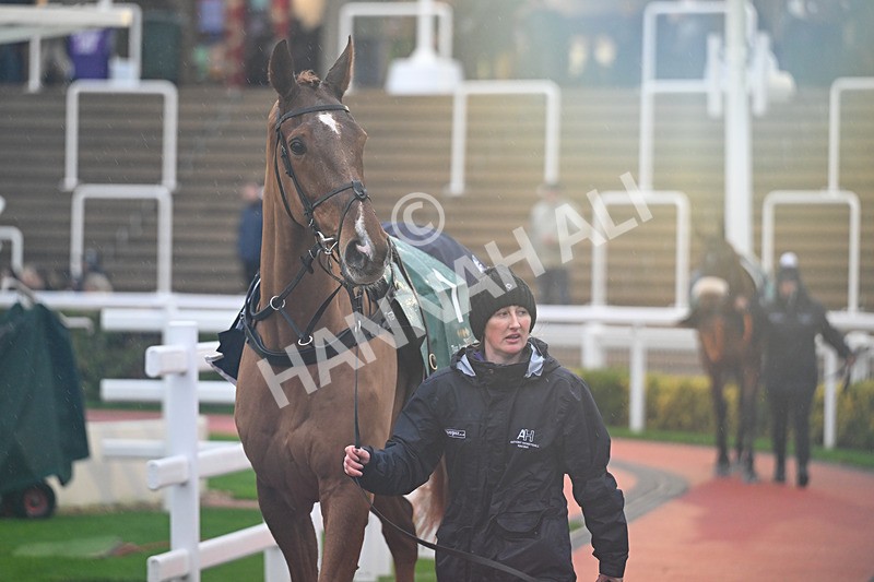 141125-Race 3-Leave Of Absence-9783 - Race 3