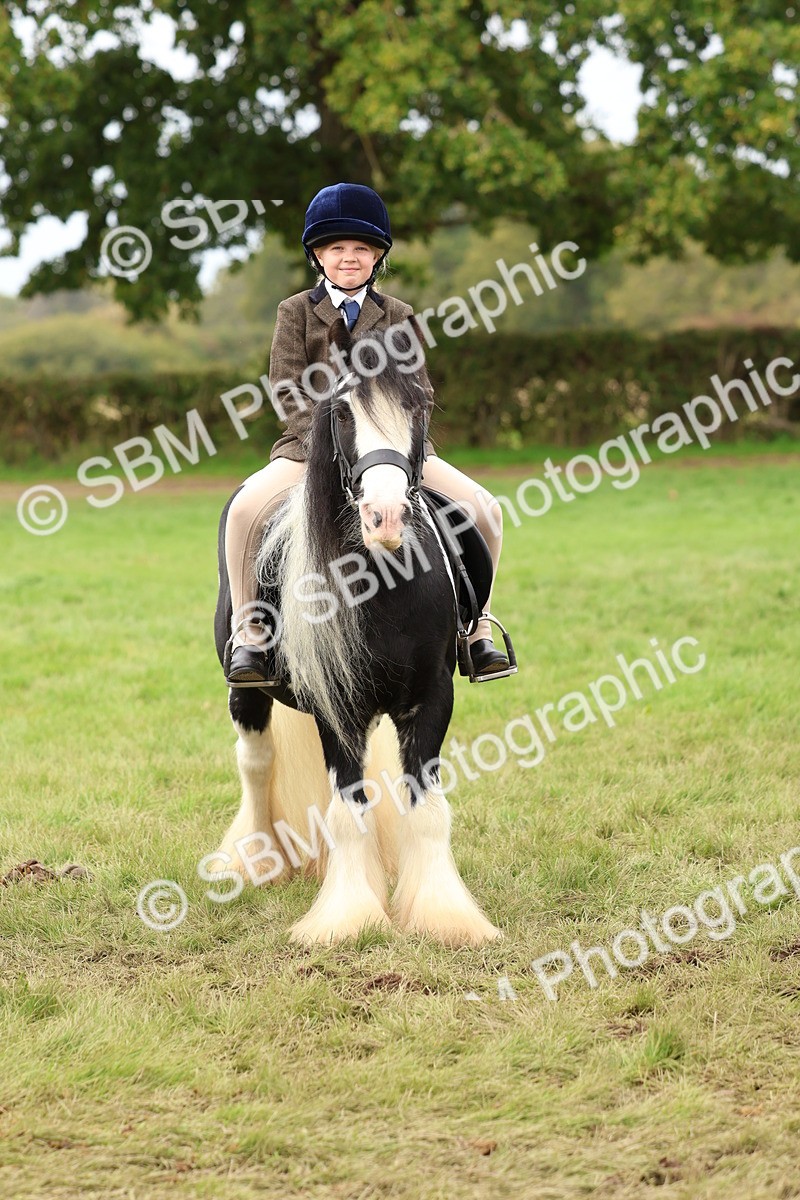 SBM_64457 - S58 - Coloured Pony Ridden