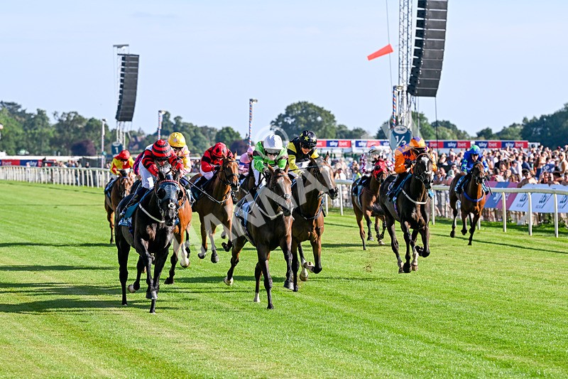 240726-Race 2-Vaguely Royal-5095 - Race 2 18.05pm Elevator Company Handicap