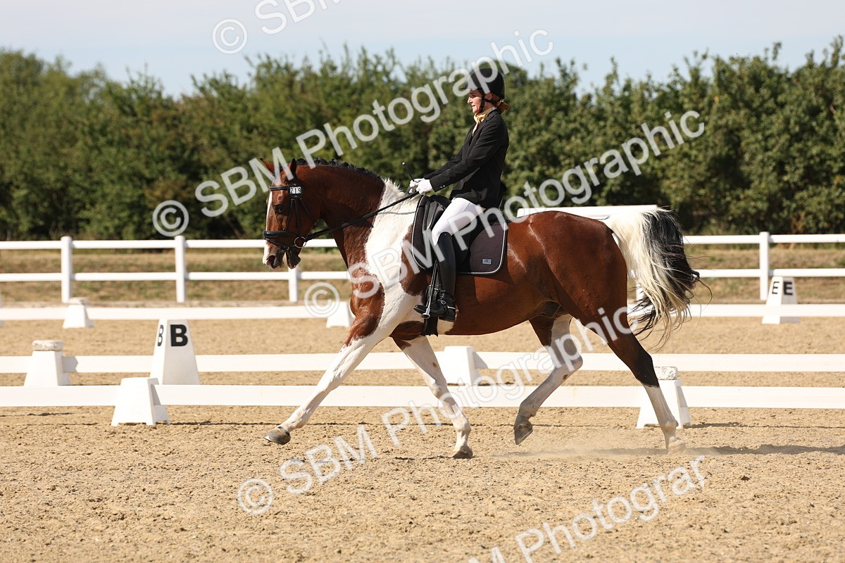 SBM_003863 - Elementary 4