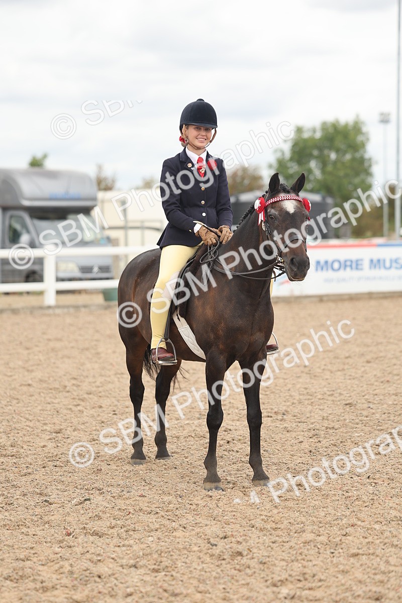 SBM_16042 - Class 311 - Ridden Show pony-Show hunter Pony