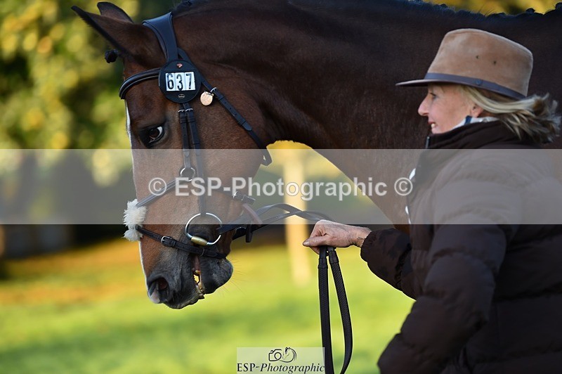 231022-084416-21324 - 637-JOIE.DE.TOURLIDA-Bronia.Hill-TrotUp+SJ