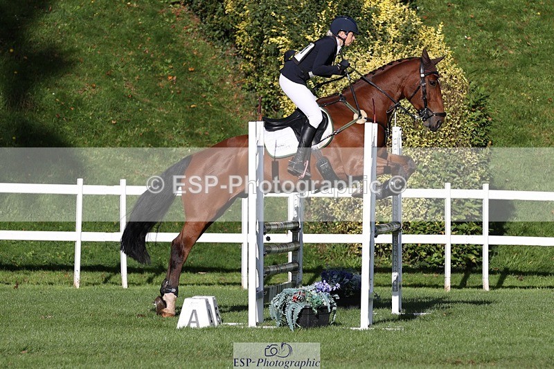 231022-102938-24559 - 641-SILVER.ROCK-Lucy.Boultbee-brooks-TrotUp+SJ