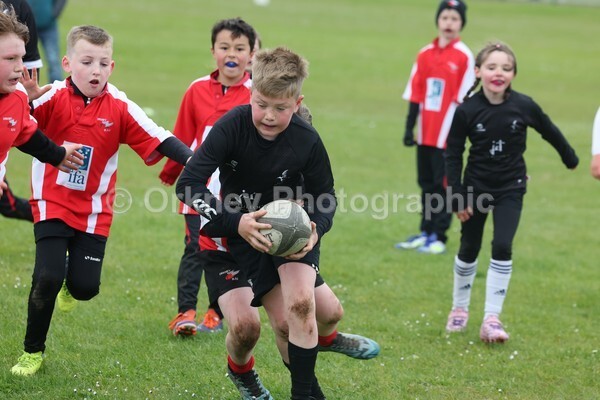DAD22443 - Rookies/Mini Rugby on 7s Day