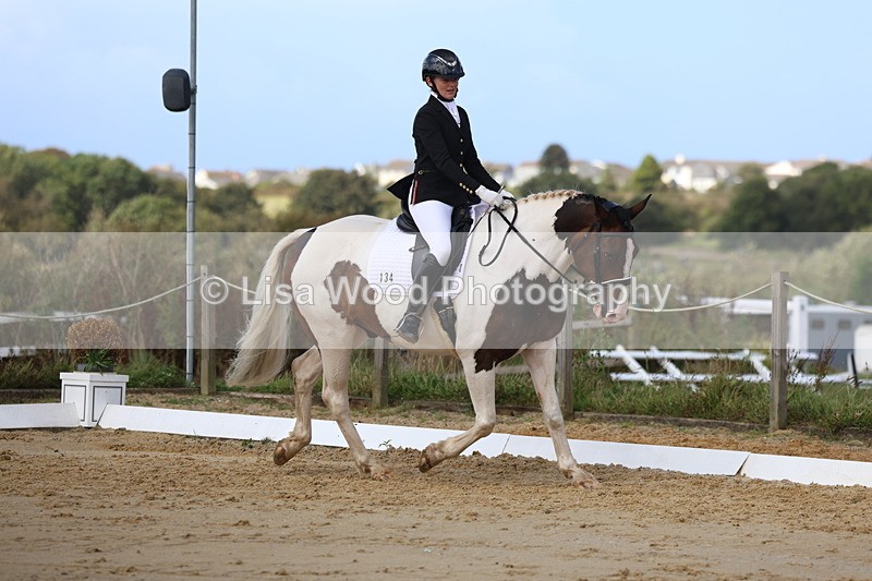 3E7A4169 - Class 9: Novice 6 Section B Championship