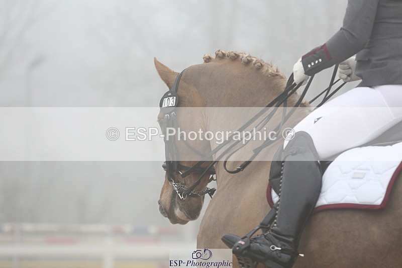 240217A-125840-03005 - 103-Ruth.Saunders-Dizzy.Rascal.VII