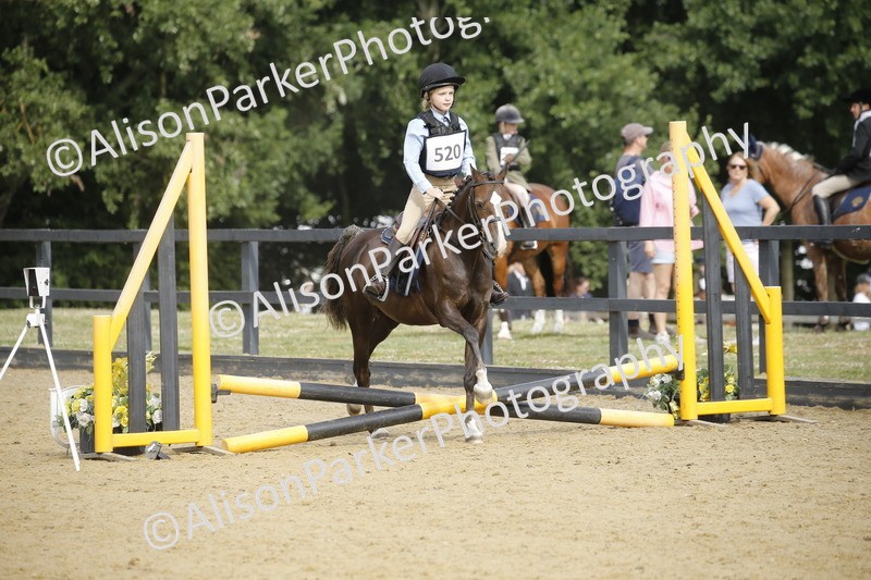 20250622-1412 - 40cm