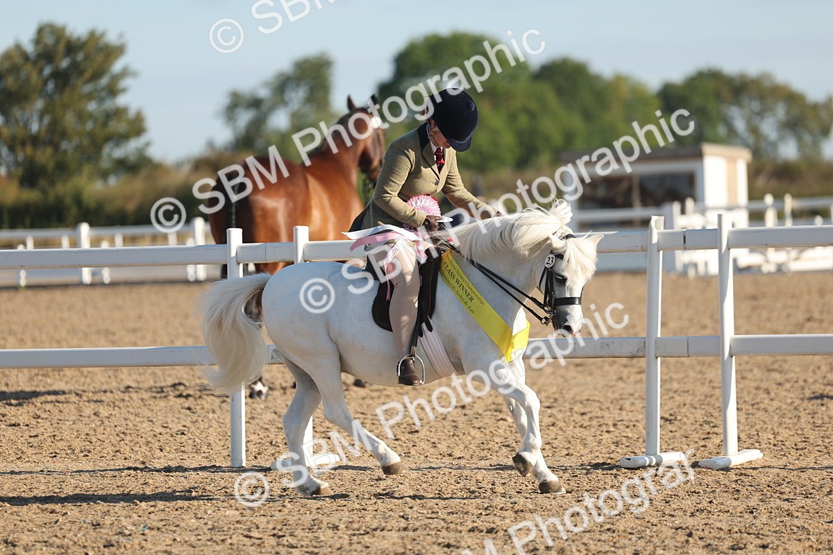 SBM_10941 - Class 301 - Ridden M&M Small Breeds