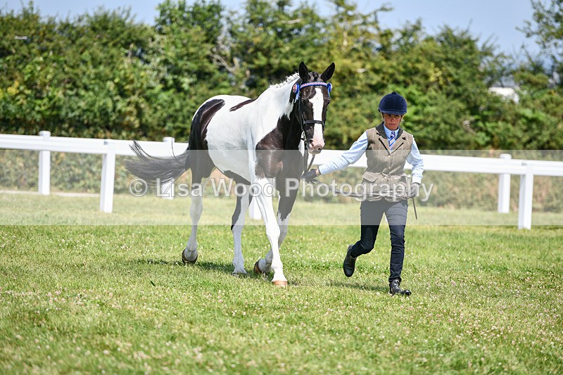 DSC_7845 - Class 65: Coloured Horse 4yrs & Over