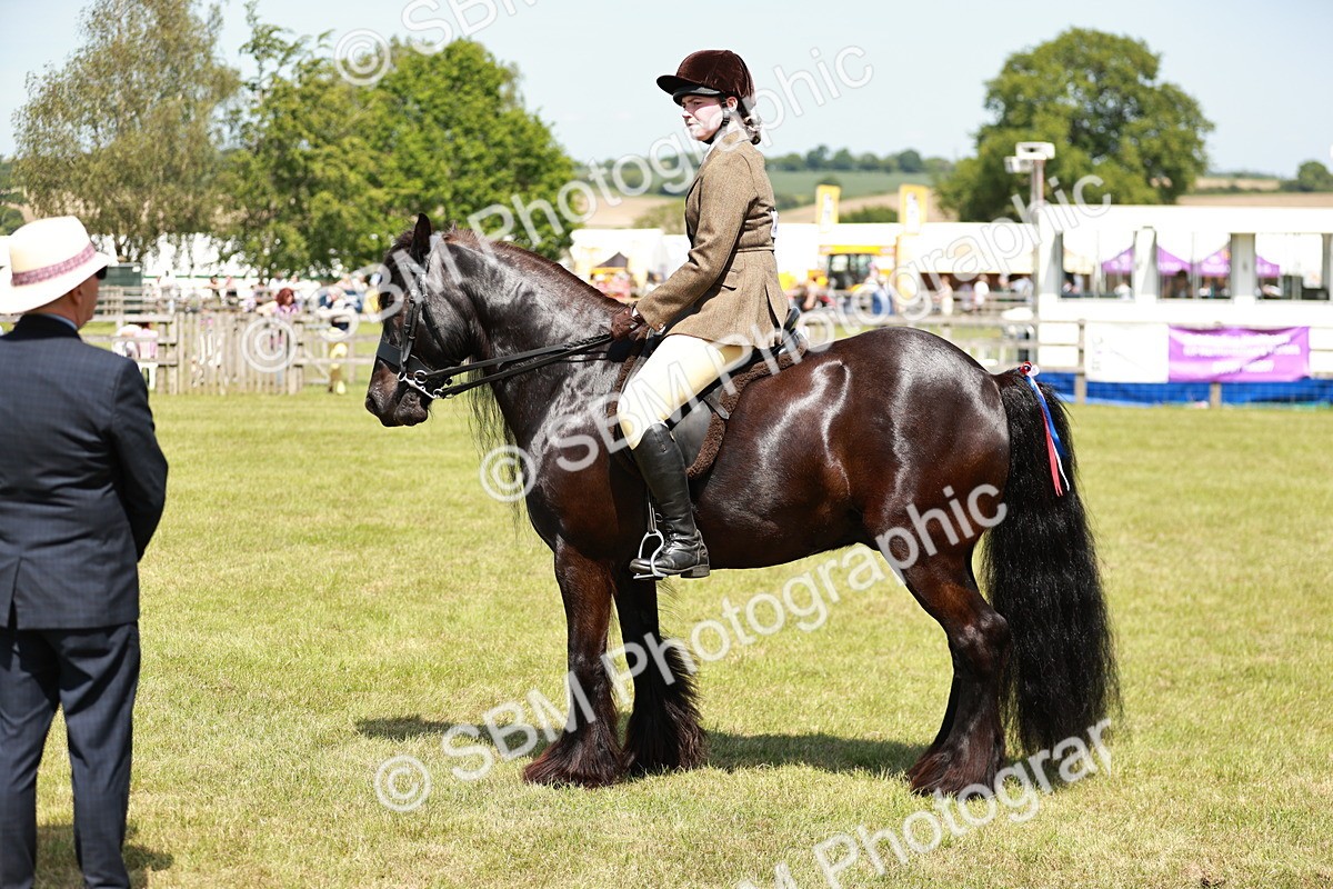 SBM_07112 - Class 26-30 - Mountain and Moorland Ridden