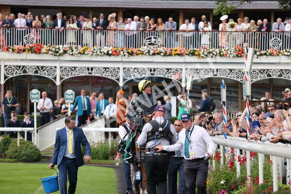 yr20082021r2-80 - Race 2 2.25pm Weatherbys Hamilton Lonsdale Cup (British Champion Series race)
