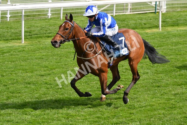 yr13052021r5-18 - Race 5 3.40pm British Stallion Studs EBF Westow Stakes
