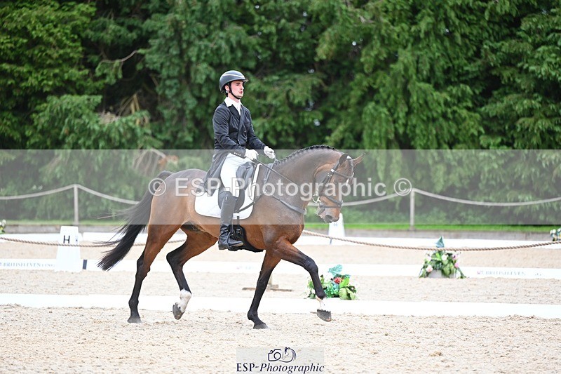 240524-175902-11536 - 162-HAZZLE_DAZZLE-Henry_Hobby