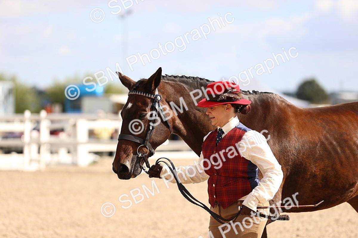 SBM_11536 - Class 407 - IH Hack-Riding Horse