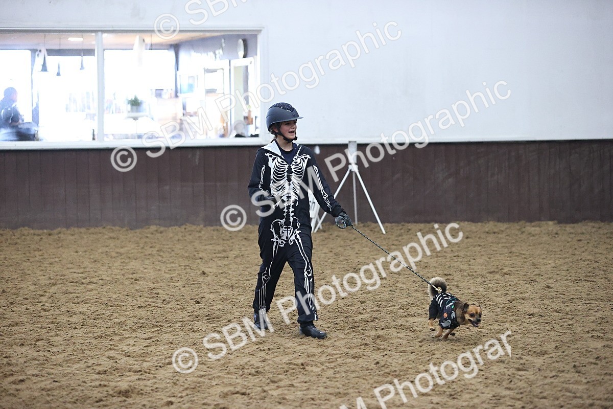 SBM_001595 - Class 3 - Horse & Hound 60cm
