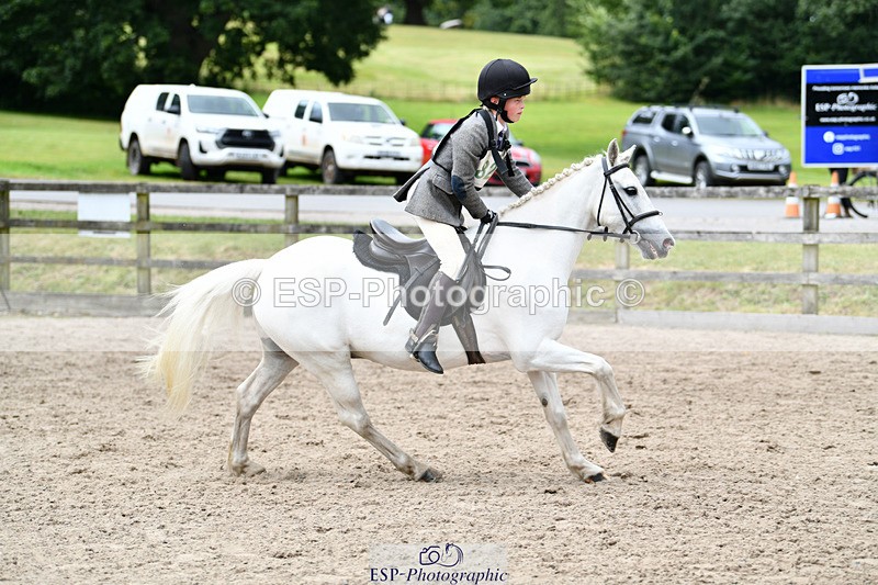 240825X-155342-36026 - 80cm SJ 14.00 to 15.55