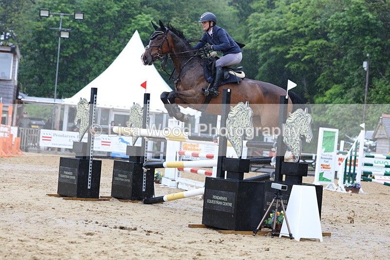 3E7A7427 - Class 8: Senior Foxhunter/1.20 open