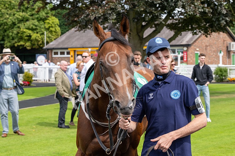 260724-Graham Lee Stable Staff Stakes-3031 - Graham Lee Stable Staff Stakes