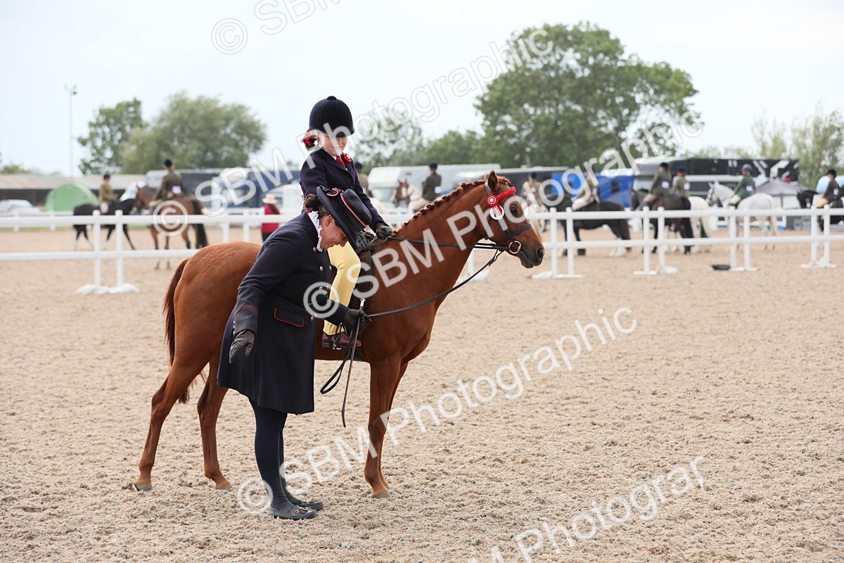 SBM_16907 - Class 314 Family Horse/Pony