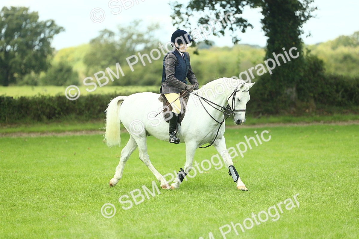 SBM_42787 - S30 - M&M Working hunter Pony