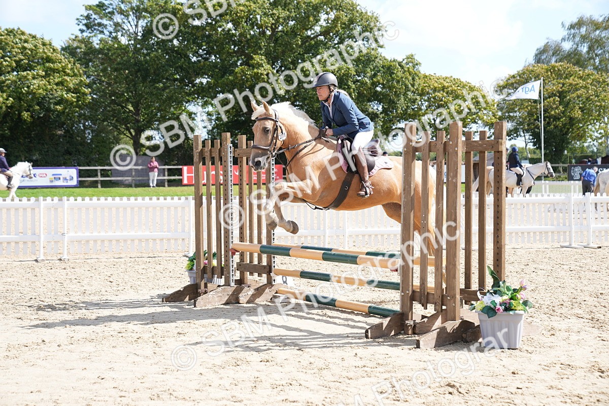 SBM_06062 - J56 - Clear Round 70cm