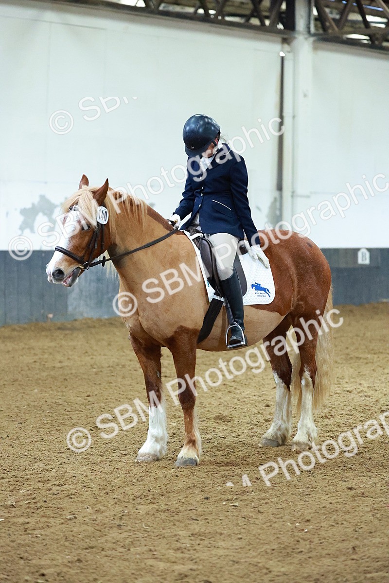 SBM_003667 - Novice 2