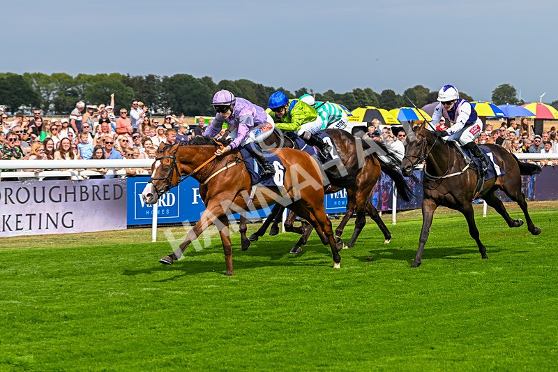 240825-Race 1-Light Speed-1465 - Race 1