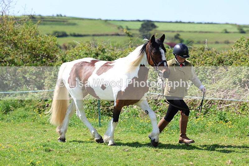 3E7A0286 - Class 19: Best Coloured in Hand