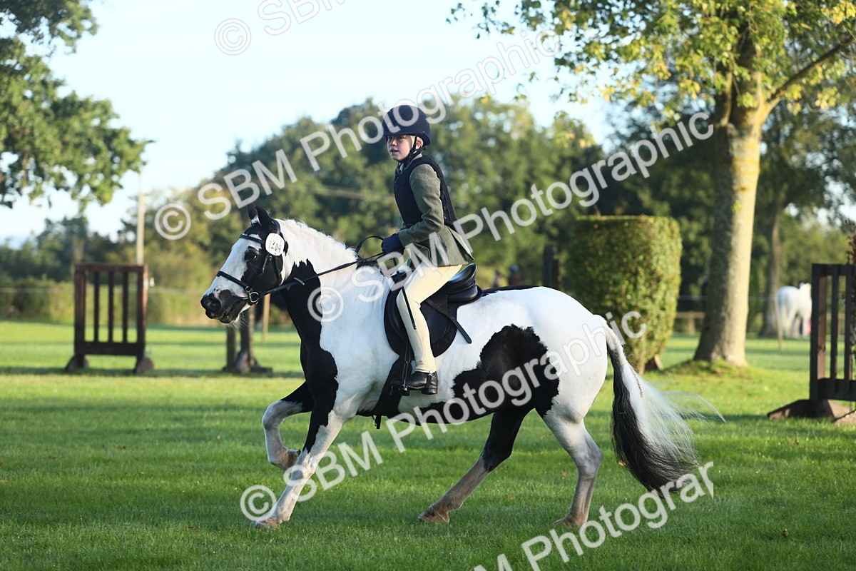 SBM_37151 - S29 - Novice & Newcomers Working Hunter Pony