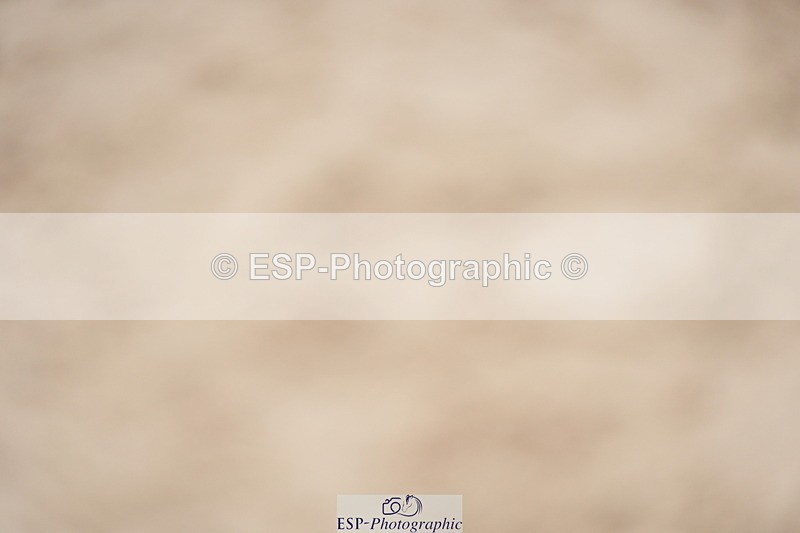 230924A-115630-04674 - 100 SJ 11.00 to 12.00