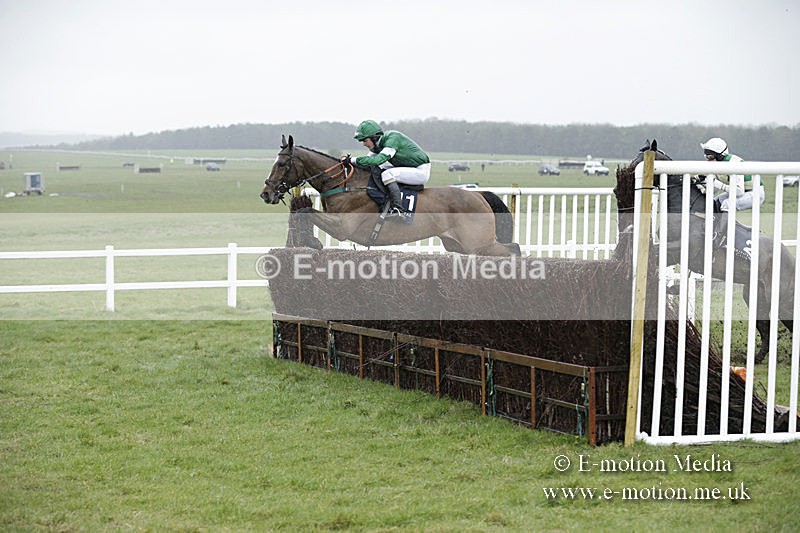 PtP 150320 0149 - New Forest Point-to-Point Larkhill 15/03/20