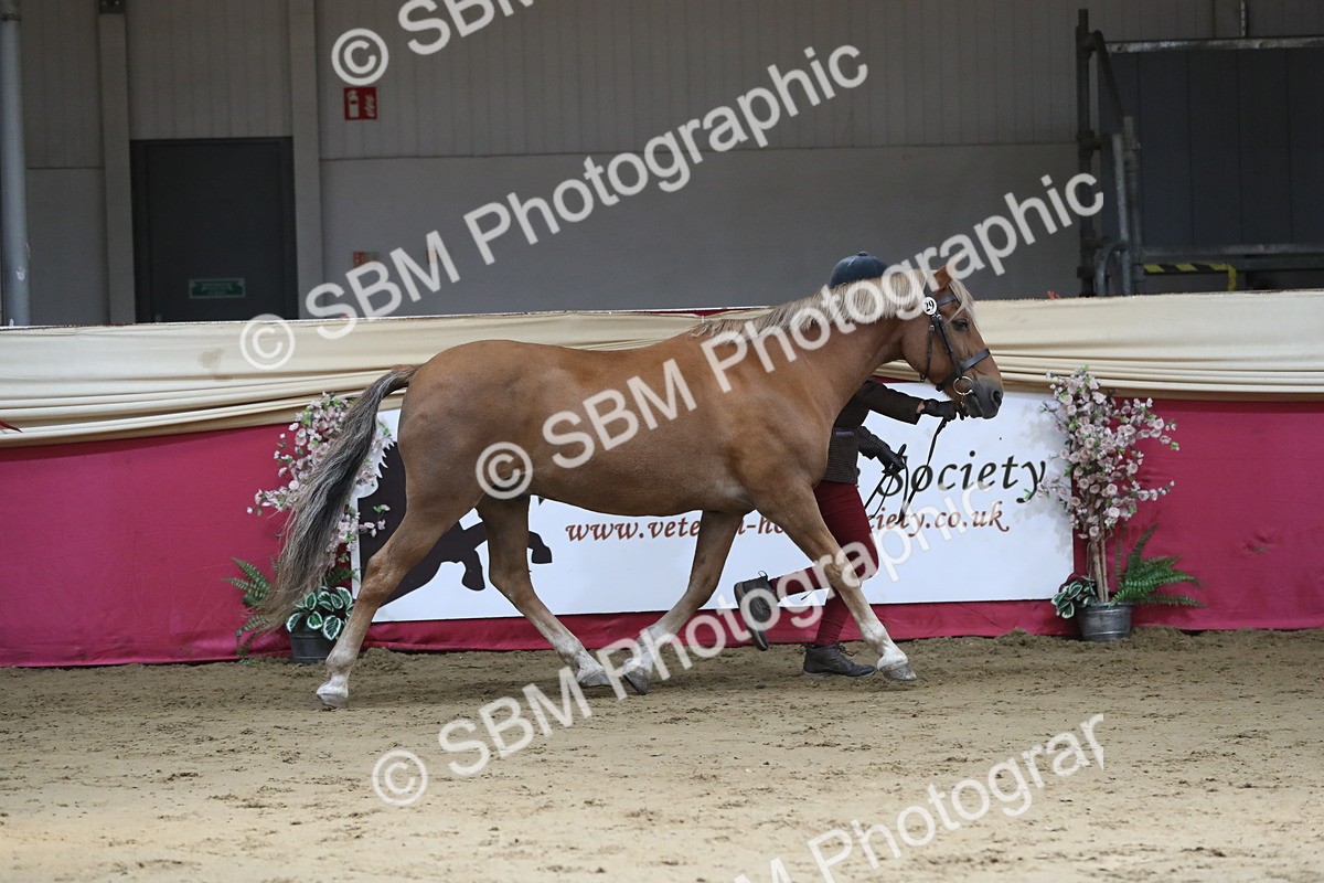 SBM_04374 - Class 7R Regional - IH Diamond