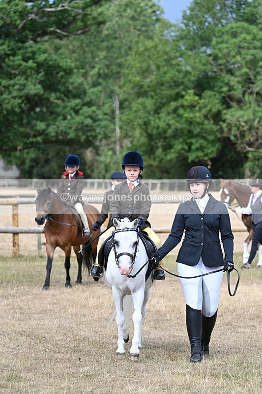 WJ7_6267 - Class 1 Lead Rein Pony