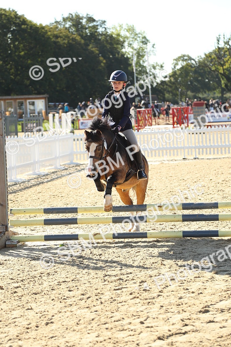 SBM_35989 - J5 - Junior Pony 50cm Championship