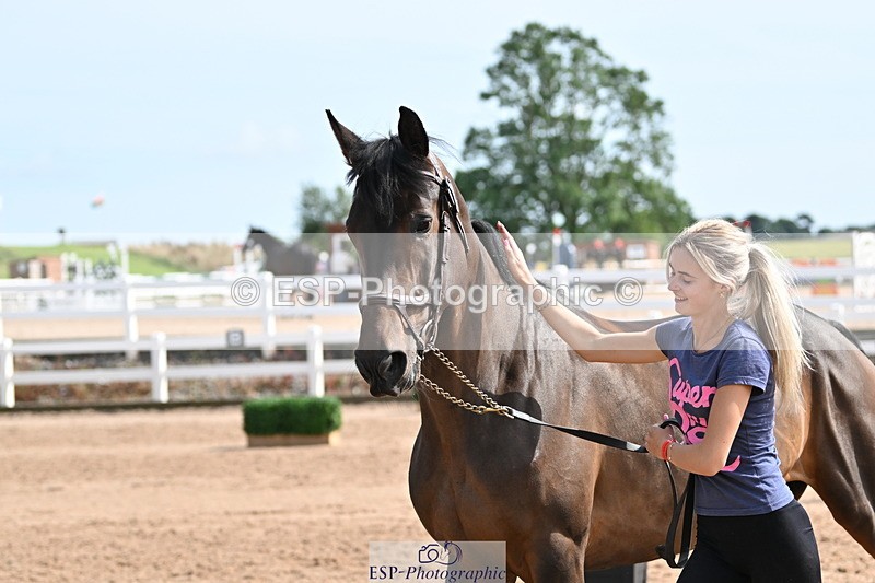 240717A-160340-03304 - Trot Up 4pm to 5pm